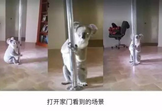 中国那些赚翻了的富豪，最后都移民到哪里了？