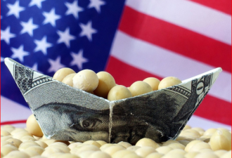 贸易谈判之际，中国再巨量采购了美大豆