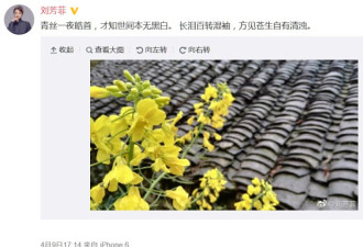 海伍德案翻版?刘芳菲的富商丈夫疑似被灭口