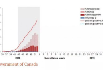 24人死亡：加拿大恐怖H1N1流感病毒来了
