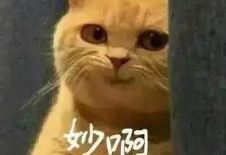 奥巴马发新歌了？而且销量竟然还不错！