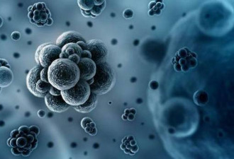 世卫组织公布“超级细菌” 我们如何应对