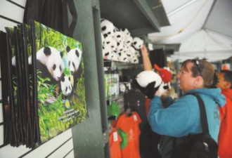 大熊猫在美国：啃坏的塑料筐都被当文物展出