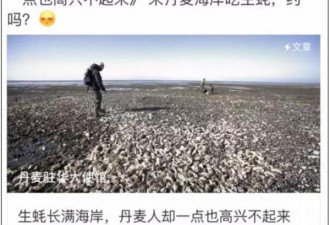 帮丹麦吃生蚝?吃货们，这是一次高超的营销事件