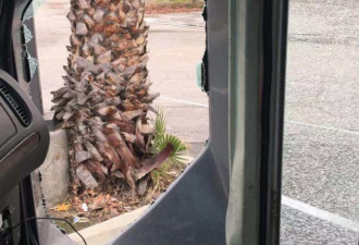 华人旅游巴士车窗被砸 加州警察漠视 陆客傻眼