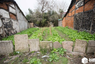 清代墓碑变菜地围栏 村民:用处多着呢