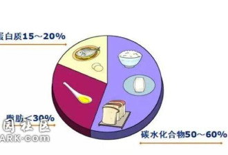 专家指出中式早餐：缺了一种营养易让人发胖