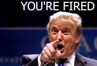 被特朗普拒通话 前立委蔡英文You are fired