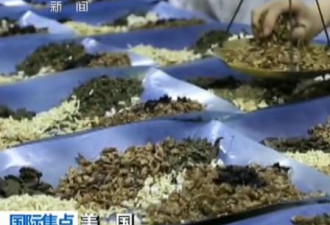 中国男子带甘草片被美国海关遣返5年不得入境