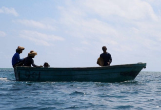 南海动态：中国清除黄岩岛渔船残骸