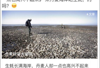 丹麦生蚝泛滥求助 中国吃货:吃成珍稀还是濒危?