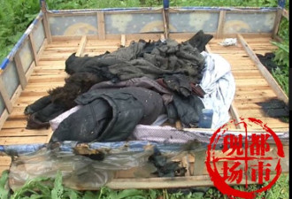 江西11岁留守女孩遭杀害焚尸 惨不忍睹