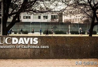 加州大学发警告：2万中国留学生或受影响