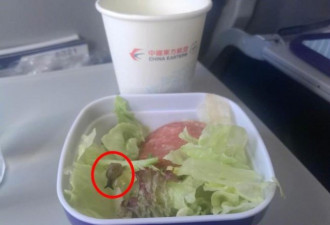 东航飞机餐出现蠕动的蜗牛…上海女拒千元赔偿