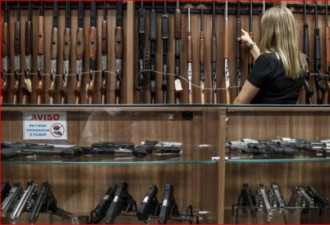 巴西总统博尔索纳罗签署政令放宽民众拥枪限制