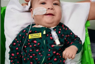 澳大利亚男婴患罕见病 26岁母亲喂食漂白剂杀子