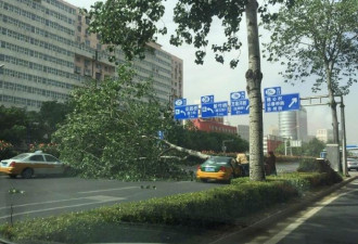 北京海淀一路人被大风刮落的坠物砸头部身亡