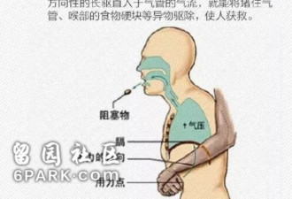 妈妈眼看着6岁儿子窒息身亡 监控拍下绝望一幕