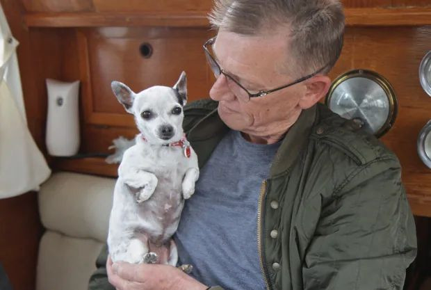 James Kinnear dog