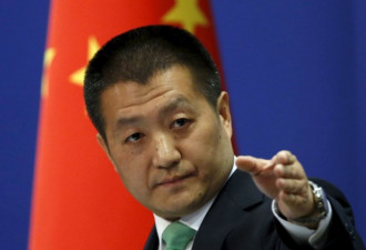 中国外交部发言人陆慷另一个新身份如今被公开