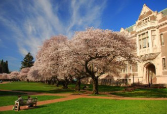 华裔研究员因病遭解雇 华盛顿大学赔近77万美元