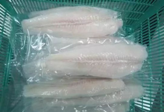 多伦多超市里卖的龙利鱼到底是什么鱼？