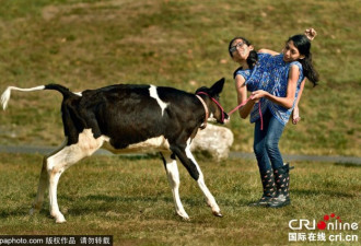 双胞胎姐妹连体生活16年 拒绝手术分离