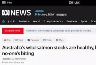 澳洲三文鱼泛滥2.5元/kg 别去丹麦吃生蚝了