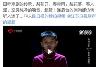 眼里有光10岁华裔小哥实力演绎梅派《梨花颂》