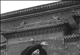 从打把式的到体操化中国武术其实从没辉煌过