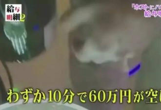 24岁日本妹子沉迷于牛郎，一晚上花500万日元