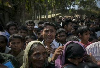 缅甸难民营十几个孩子争抢一棒玉米
