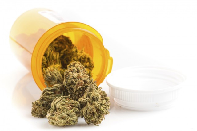 “Shoppers Drug Mart weeds”的图片搜索结果