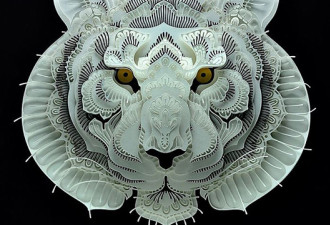 3D剪纸艺术邂逅濒危动物 精美之外引人深思