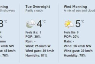 多伦多气温骤跌至0℃以下！大约还是在冬季