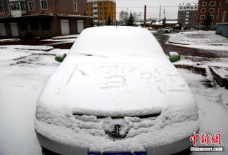 乍暖还寒 中国东北地区立夏下起大雪