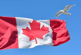加拿大成最容易移民国家！3年百万新移民