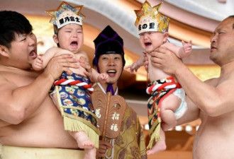 日本举行“宝宝哭”相扑比赛：萌娃大哭争高下