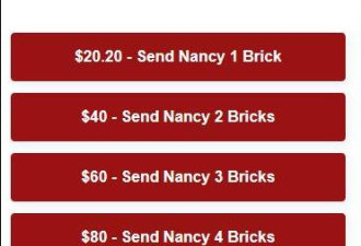 新玩法：给川普捐20.2美元,民主党人收块“砖”