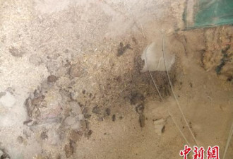 中储粮河南万吨小麦被忘7年变质：连猪都不能吃