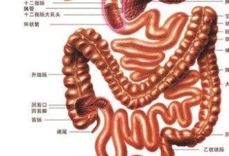 大叔为少喝2碗酒连吞2支笔36年后取出笔芯完好