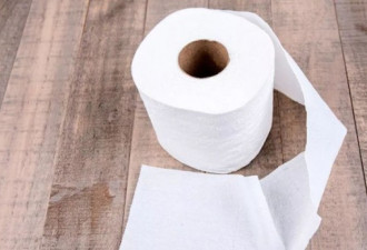 德媒呼吁上厕所时放弃使用卫生纸