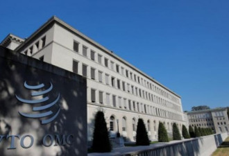 WTO启动电子商务谈判 中国最后一刻加入