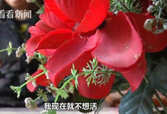 女子贷款1050元已还款40多万 仍遭"裸照"催债