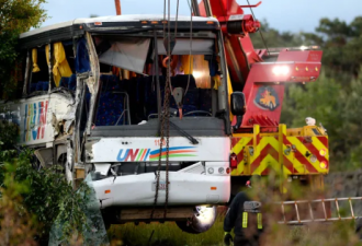 载中国游客巴士401车祸致3死 华人司机被控罪