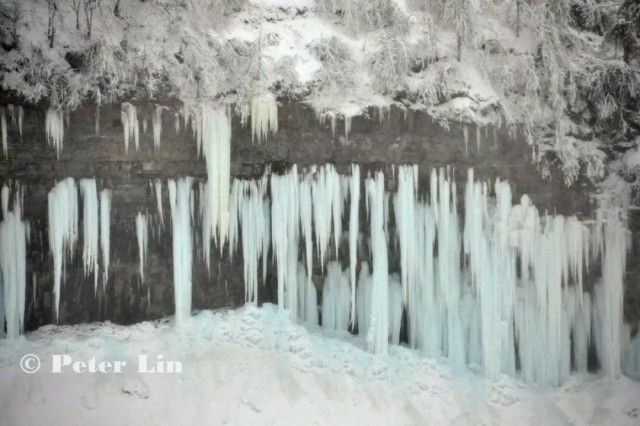 今天的尼亚加拉大瀑布，惊现冰原仙境_无忧资讯