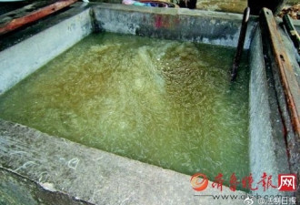甲醛超标360倍！济南粉条作坊老板被判9年