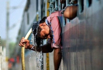 印度特伦甘纳邦遭热浪席卷 已致167人死