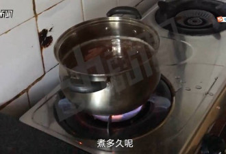 暗访北京胎盘黑市：私厨加工如煮肉 每个卖千元