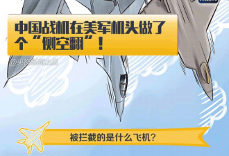 中国战机在美军机头上侧空翻 是这姿势！